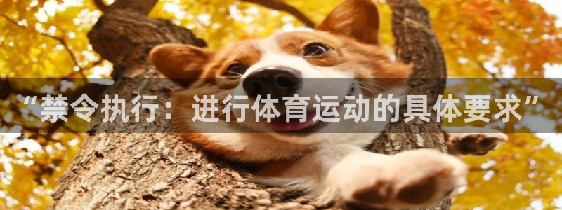 五星體育足球解說員名單：“禁令執行：進行體育運動的具體要求”